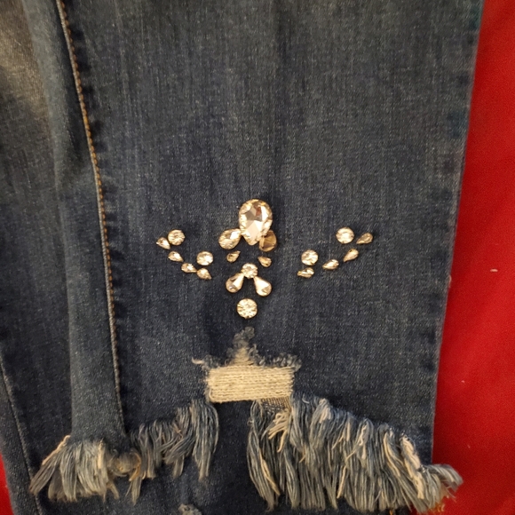 Bejeweled INC, Distressed Jeans - Picture 3 of 7
